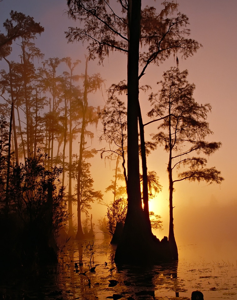 Georgia florida sunset