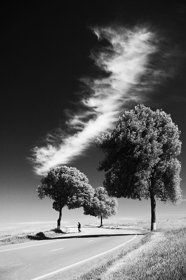 Sunlight