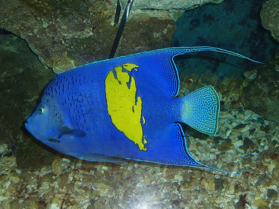 Hurghada egypt red sea