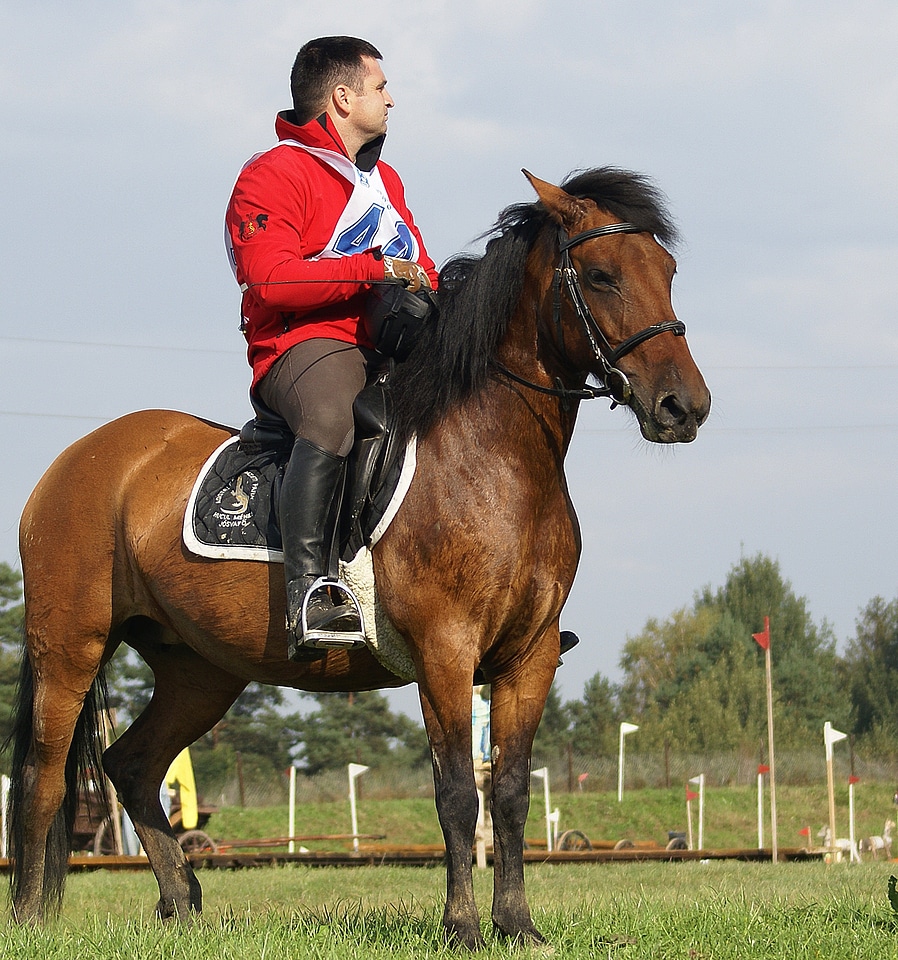 Jeżdziec harness bridle