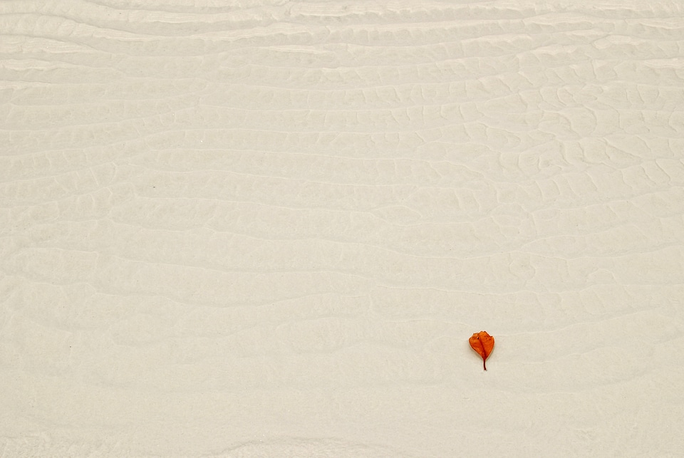 Alone