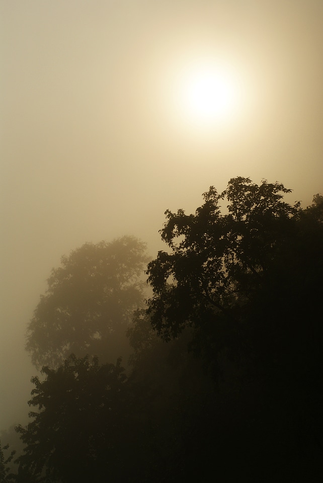 Foggy