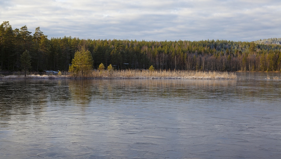 Lake in the forest photo