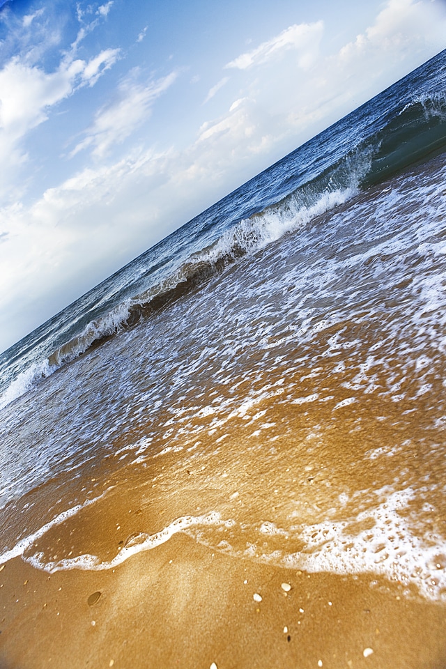 Sea