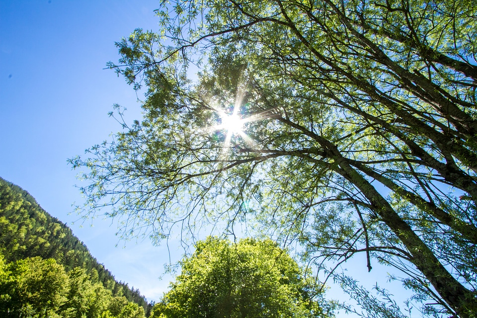 Nature landscape mood