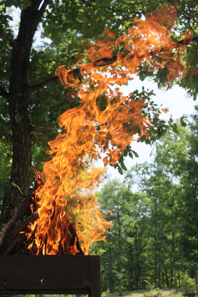 Forest heat burning