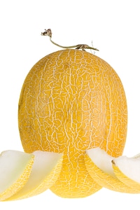 Melon