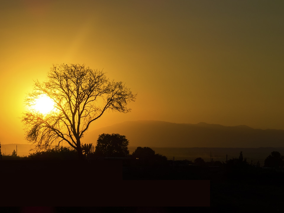 Sunlight