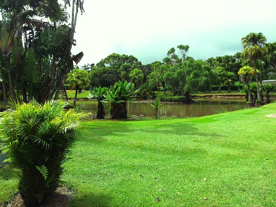 Forest nature outside