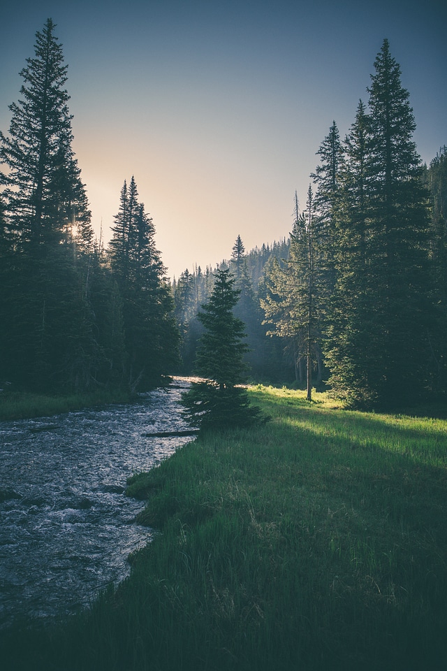 Nature