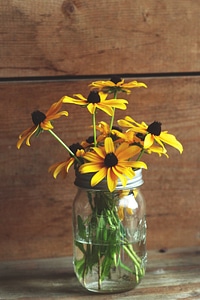 Jar of sunflowers photo