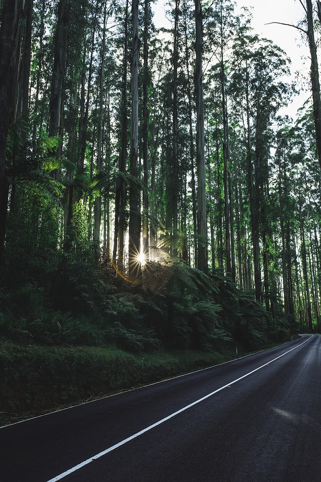 Nature