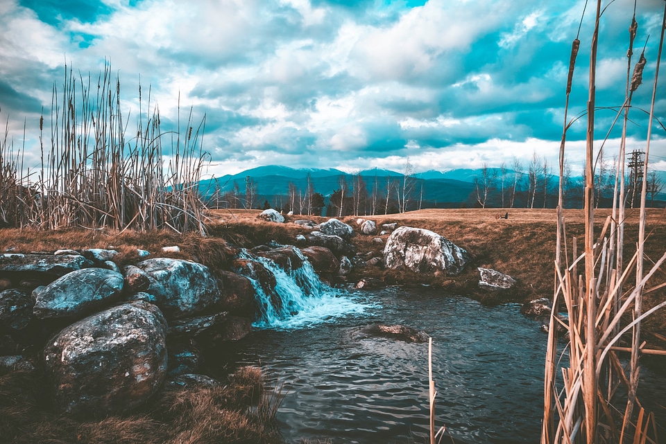Nature makes its way