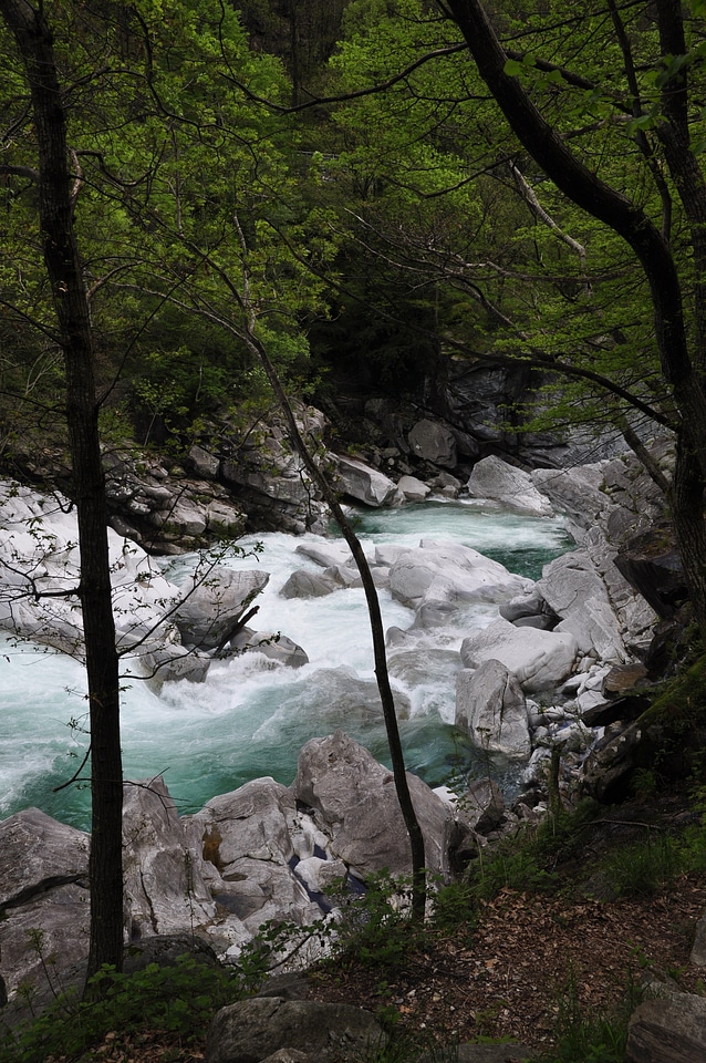 Rapids alpine ticino