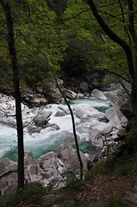 Rapids alpine ticino photo