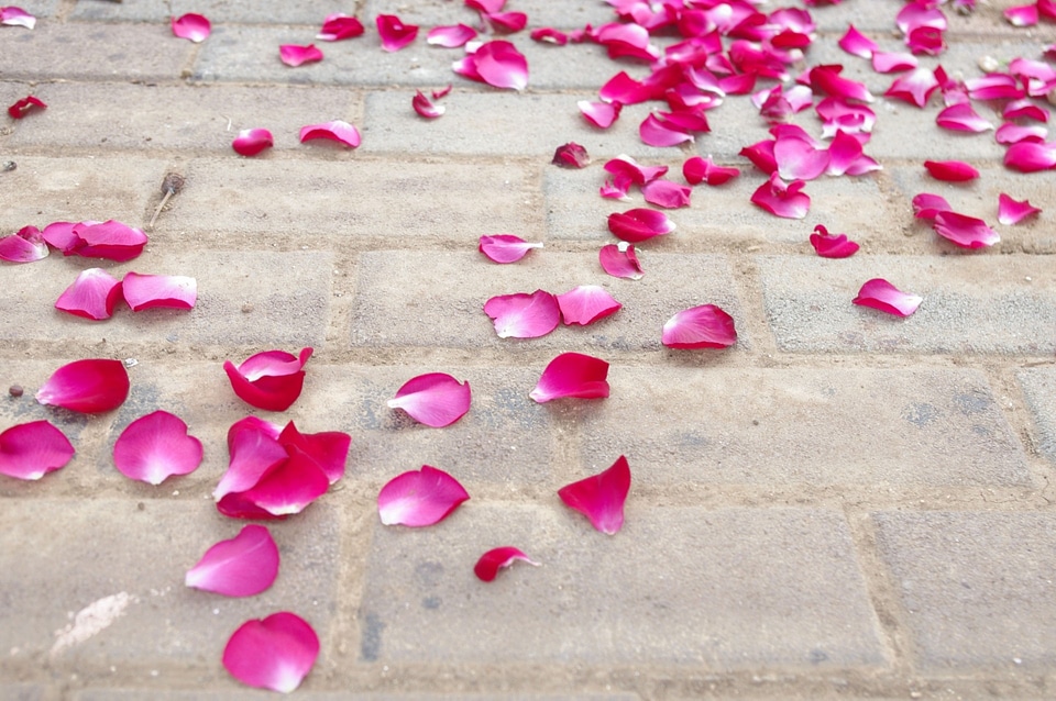 Strewn wedding cement