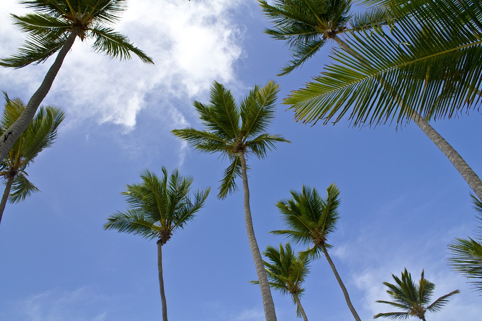 Sky blue landscape