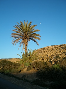Evening sky moon morocco
