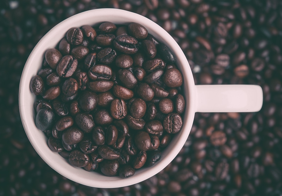 Cup of coffee beans photo
