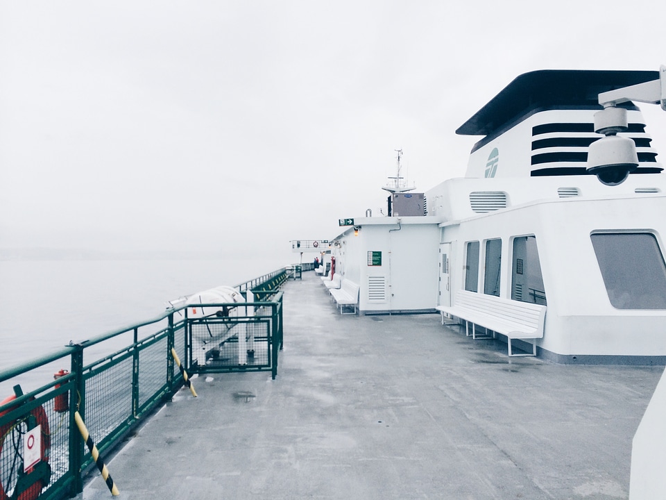 Cruise