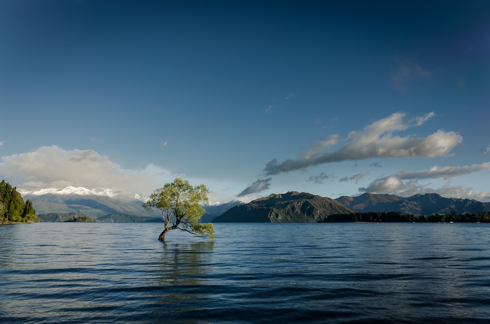 Nature water landscape photo