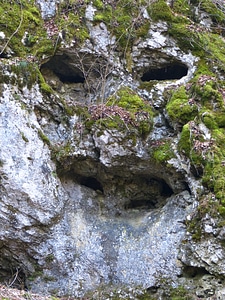 Limestone stone face rock face photo