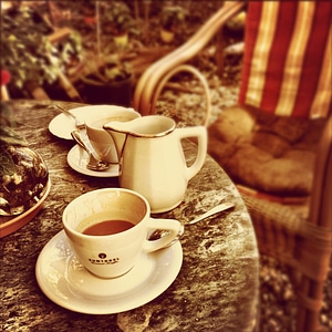 Tea time photo