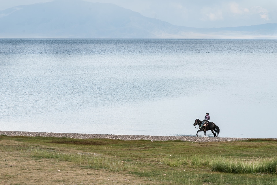 Rider on the shore