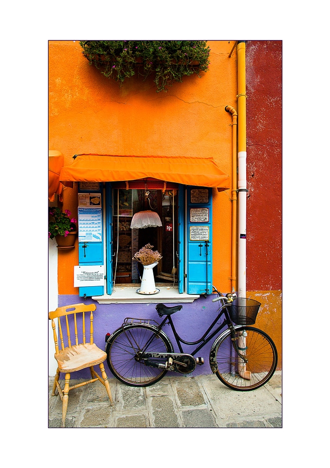 The shop