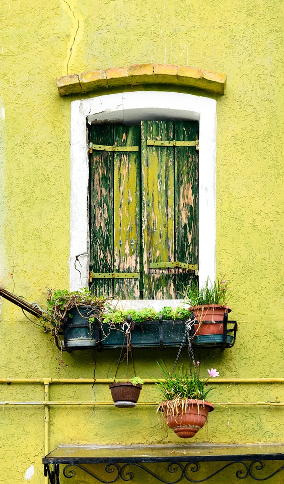 The window