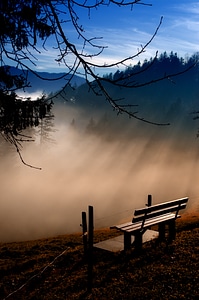 Foggy