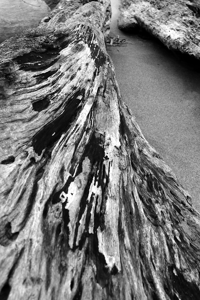 Old wood