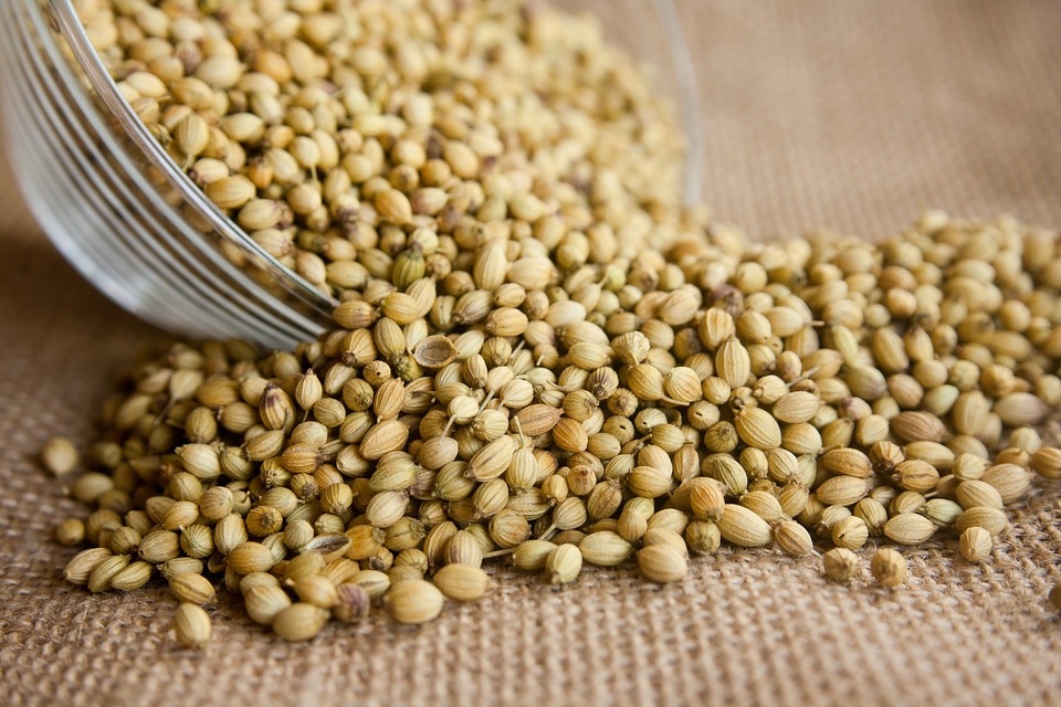 Ingredient herb fresh