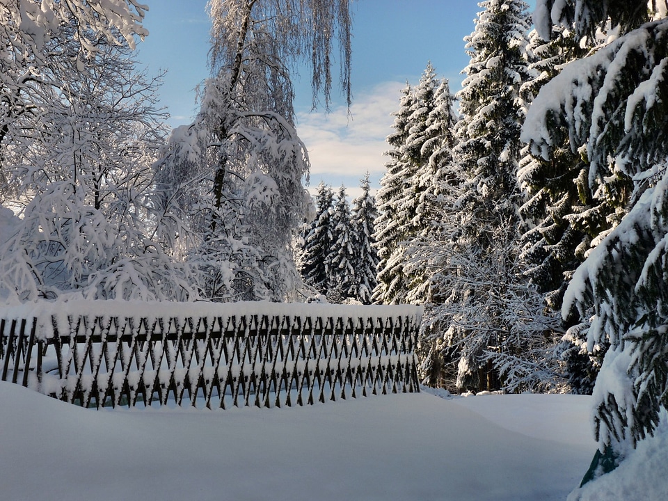 Snow cold white
