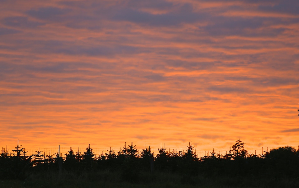 Himmel cloud sunset