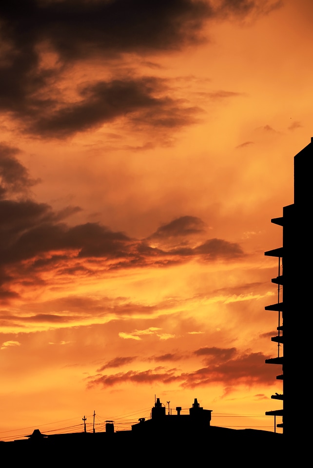 Golden sky