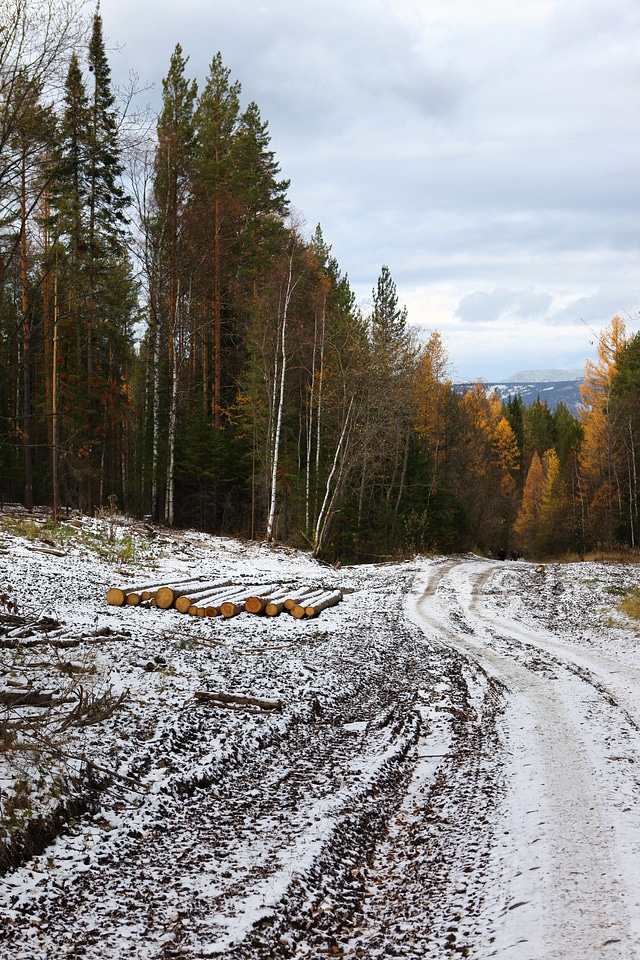 Winter road