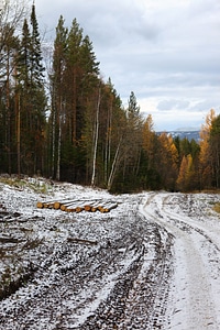 Winter road photo