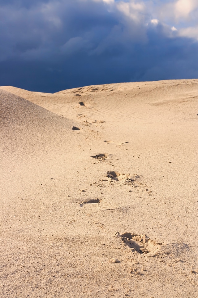 Sand dunes