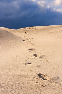 Sand dunes photo