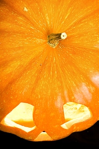 Pumpkin photo