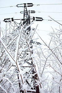 Icy power lines photo