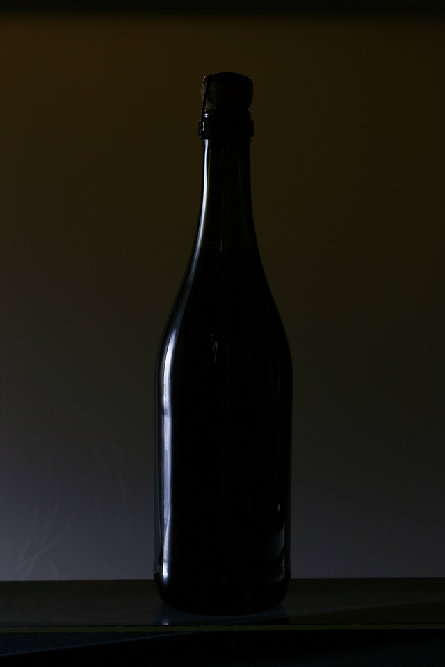 Bottle