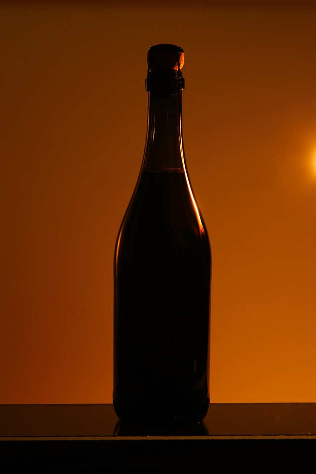 Bottle