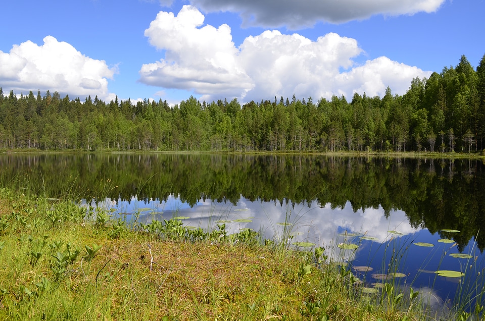 Landscapes water mirroring