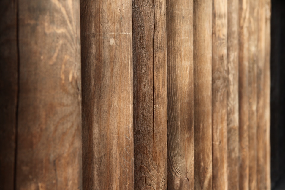 Wood background. photo