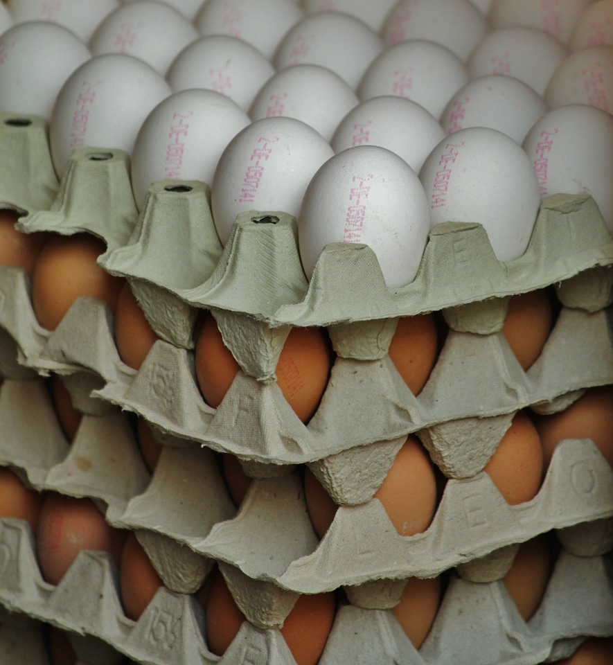 Hen's egg chicken eggs food