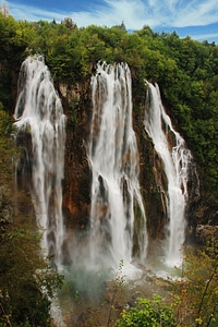 Croatia water forest photo
