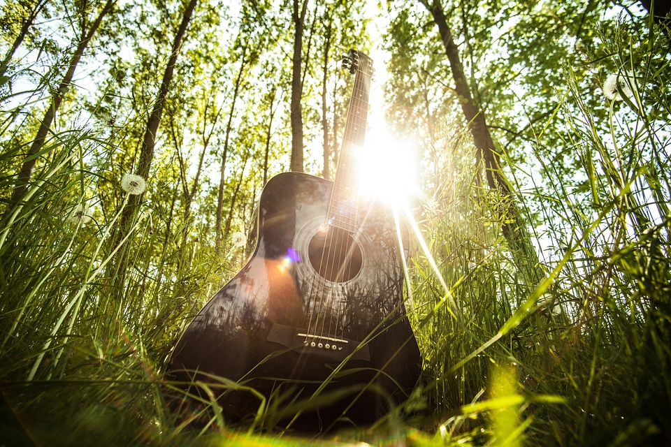 Music chords grass photo