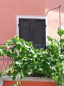 Mediterranean terracotta pink